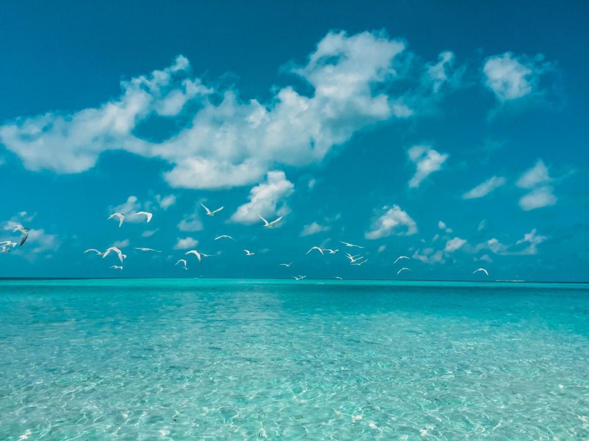 Perla Dhangethi Exterior foto